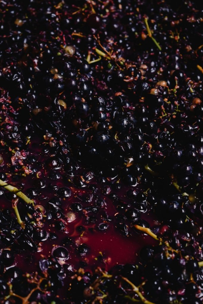 fermentazione dell'uva vinificazione